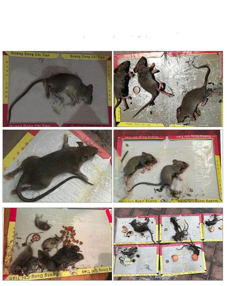 20g Household Strong Sticky Mouse Trap Sticker