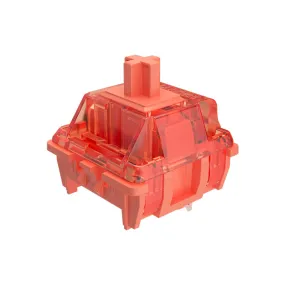 Akko × Gateron Orange Switch (Lubed, 110pcs)