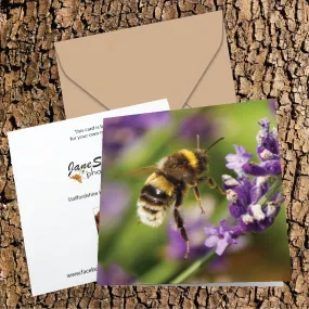 Bee About To Touchdown On Lavender Flowers Greeting Card