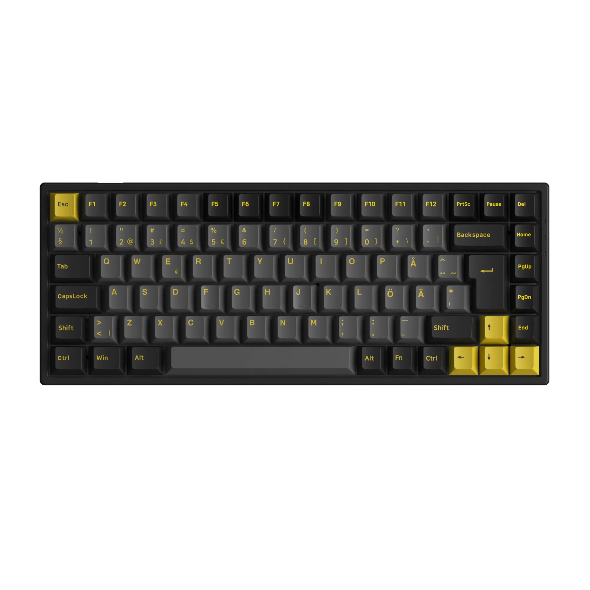 Black & Gold 3084B Plus ISO DE/Nordic
