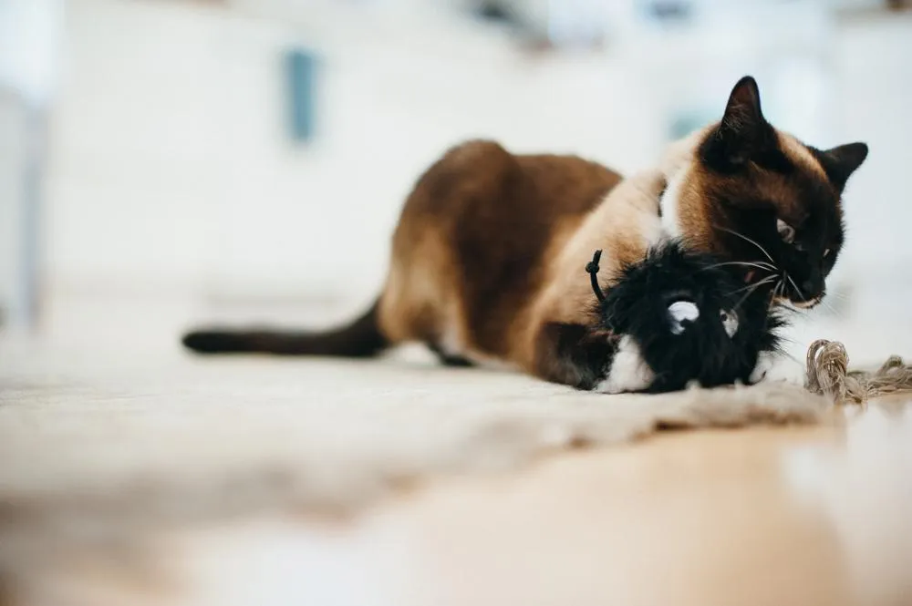 Cat Toy - Critter Collection