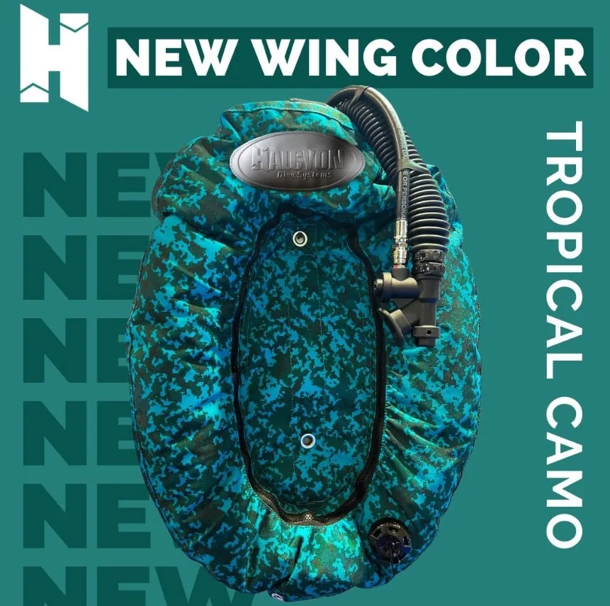 Halcyon Eclipse™ Pro BC System with Cinch - Carbon Fibre Backplate