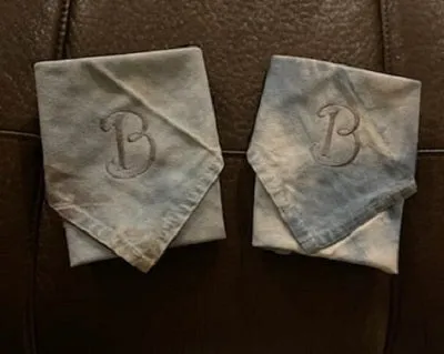 Hand Dyed Napkins in Blu Sky
