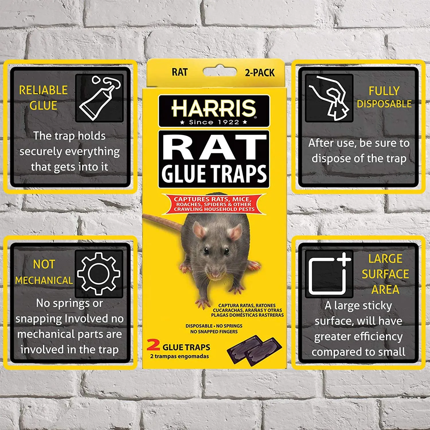Harris Rat Glue Traps, (2-Pack)