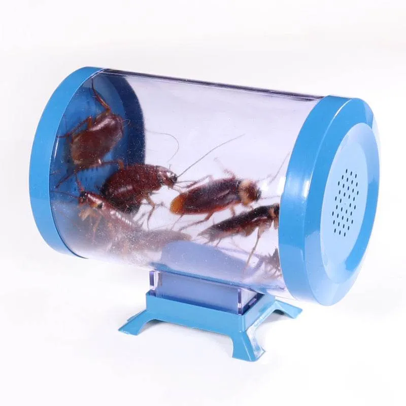 Household cockroach killer house medicine artifact kitchen nemesis trap
