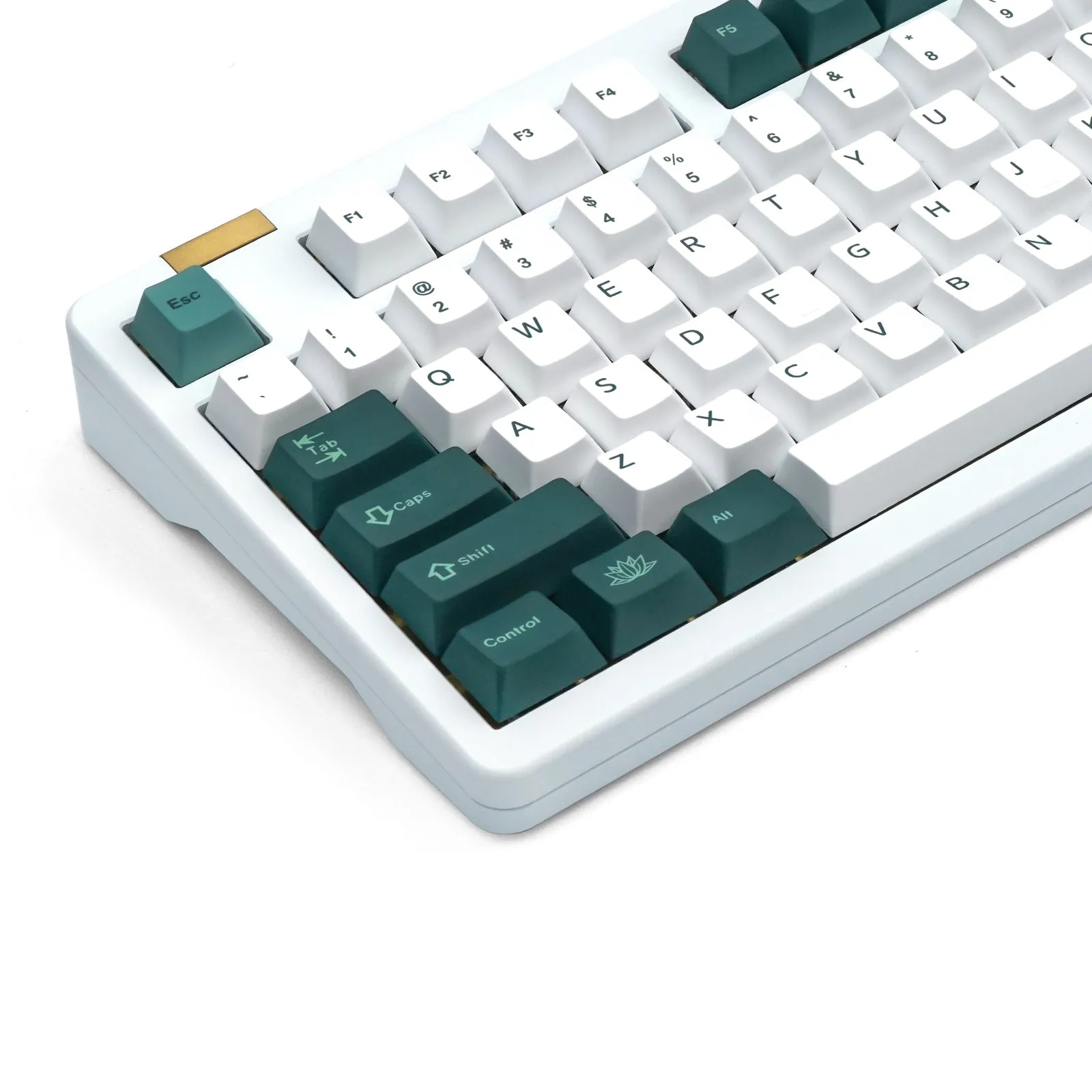 Keycaps Collectionn: MDA / XDA / CHERRY Profile PBT/ABS Dye-sublimation Keycaps Kit for MX Mechanical Keyboard