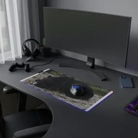 LED Gaming Mouse Pad ... "With A Little 'Lite' .." ... You're Game ... The Bear's Game ... "Everyone Is Game" ...