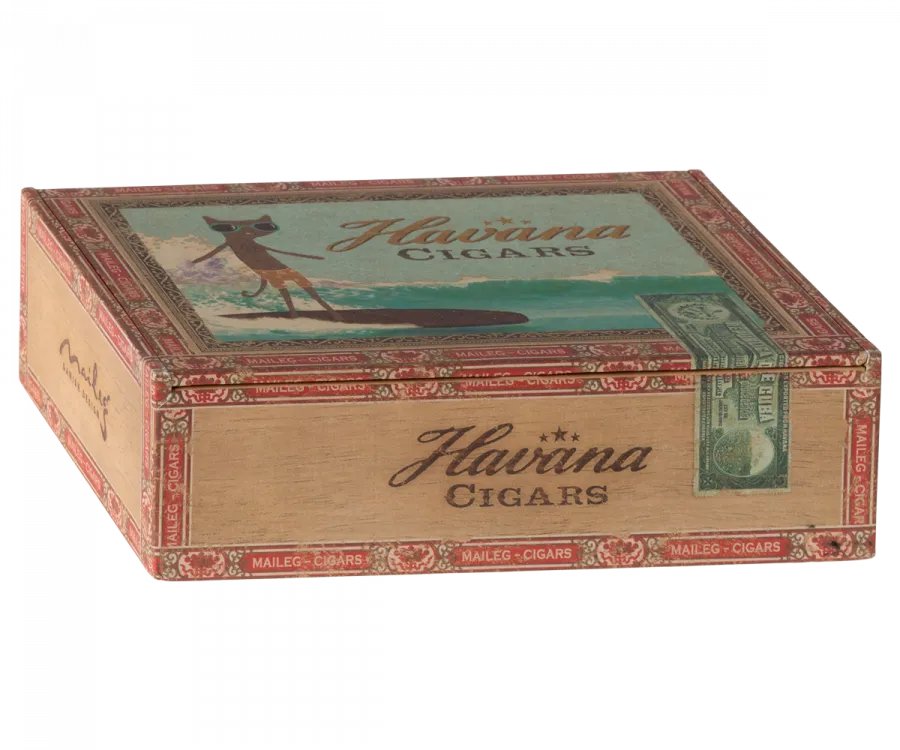 Maileg Mum and dad mice in cigarbox