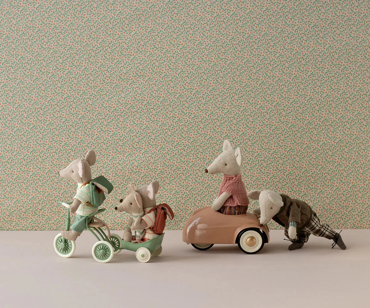 Mouse Abri a Tricycle Green