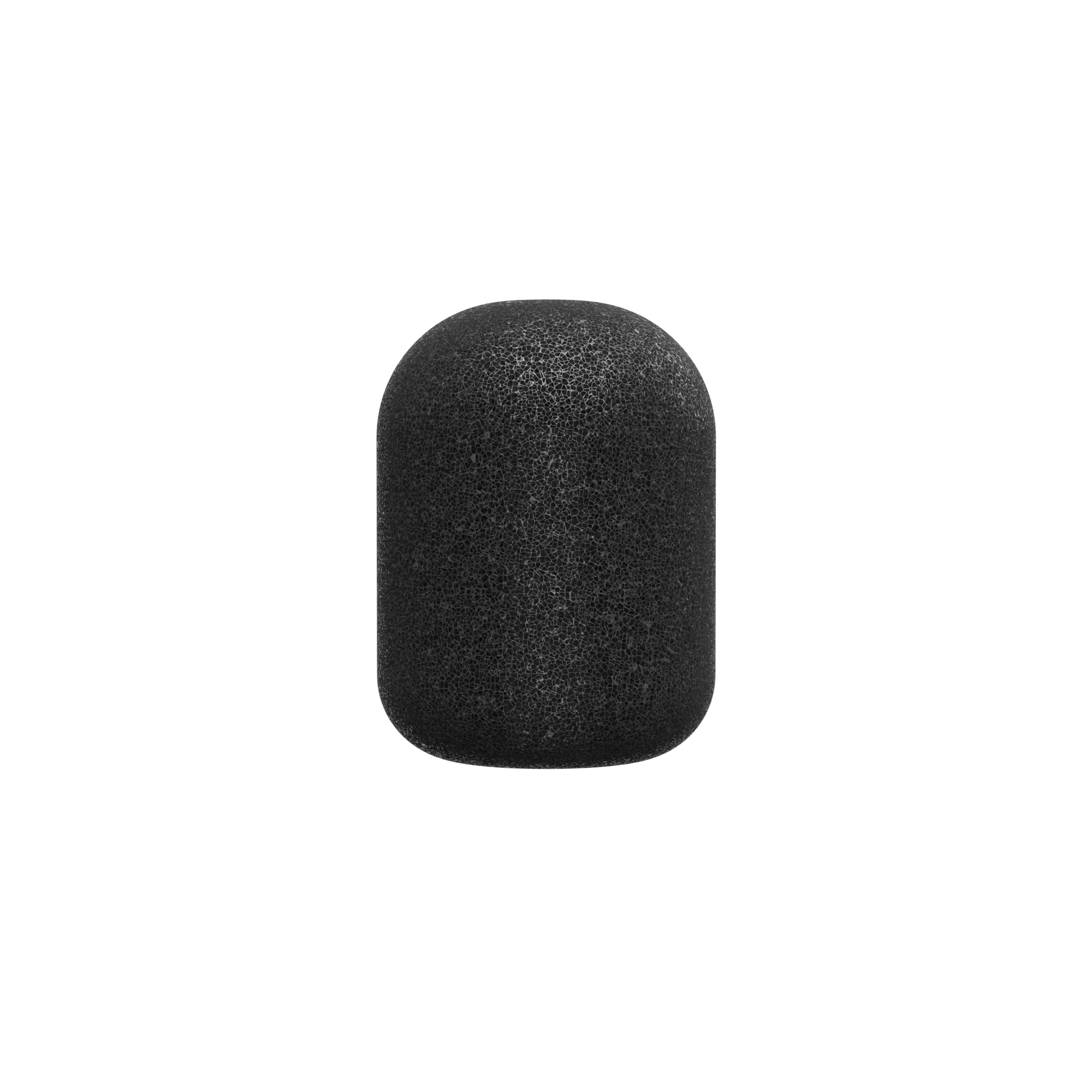 Packtalk Outdoor Sponge for Student Microphone
