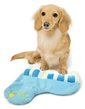 Petz Route Blue Piano Dog Toy