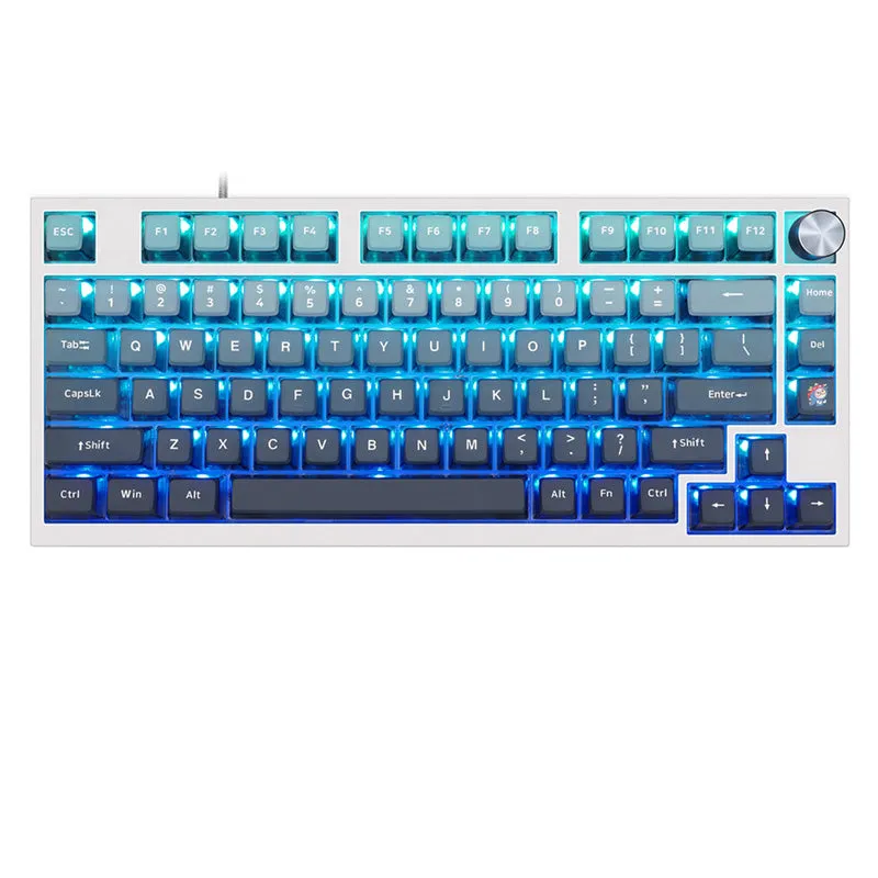 SKYLOONG GK7 Pudding PBT ASA Profile Keycap Set 126 Keys